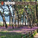 삼문송림길 이미지