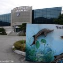 [경기] 국내여행지 - 경기도 민물고기연구소 이미지