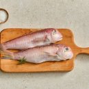 영어조합법인 청정제주 이미지