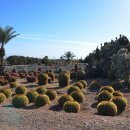 이장농장 이미지