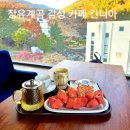 먼마루 벚꽃거리 문 | 김해 장유 대청계곡 감성 카페 킨니아 장유 뷰 카페 내돈내산 후기