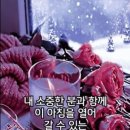 신서귀포 이미지