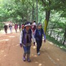 계족산황톳길 이미지