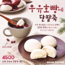이디야죽도