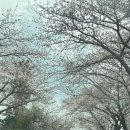 호근서호로 이미지