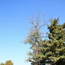 고려궁성곽길 | 강화나들길 고려궁 성곽길 가을풍경