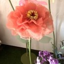 수원-0724 이미지