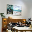 휴앤홈가구 | [내돈내산]오산 휴앤홈가구 베니시모 신혼가구 구매후기!