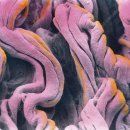 르네의원 이미지