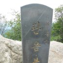 천장골