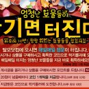 행운닷컴 이미지