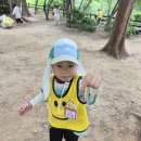 [숲day 1 ] 숲대문을 열어라 &amp; 숫자 '4' (6/17) 이미지
