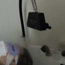 댕댕살롱앤스파 | 대전 헤드스파 두피관리 전문_라비루아 헤어앤스파 (가격, 주차, 영업시간)