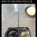 카페줌