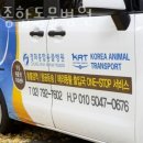 청화종합동물병원 이미지