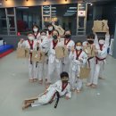 새봄태권도 이미지