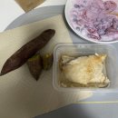 빠짐피트니스 | [전주 전북대 헬스 PT]“바쁜데 어떻게 1위까지?” 피트니스코 박도영 트레이너 NPC 대회 준비 리얼 후기