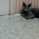 종로-종로-종로-종-101 이미지