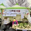 2024 연천국화축제 연천율무축제 현장후기