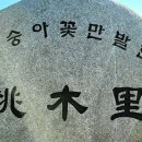 대둔도 이미지