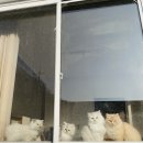자호천생태학교 네이버블로그