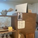 모글리하우스 이미지