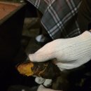 모닥 | 캠핑 느낌나는 불멍카페 남양주 모닥 후기