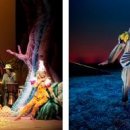 애니멀스쿨 이미지