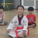 용인대금메달태권도장 - 서대문구 수색로6길 43 | 용인대금메달태권도장