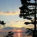 언덕위의 바다정원 이미지