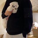 멈미스 이미지