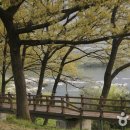 섬진강호텔 이미지