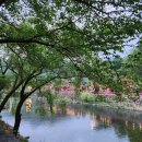 CU 월악산점 이미지