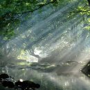 모꼬지함초바지락칼국수 이미지