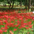 풍천여관 이미지