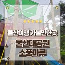 마루에너지 | 울산 가볼만한곳 어른이들을 위한 울산대공원 소풍마루 방문후기