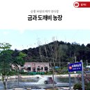 순창금과농장 이미지