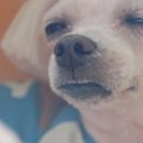 소야동치미막국수 이미지