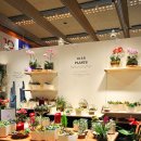 베란다디자인스튜디오 이미지