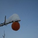 설시루