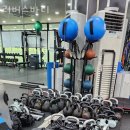 리버스바디 이미지