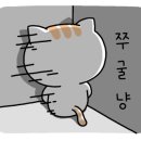 호아퐁