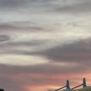 국대떡볶이 문학야구장점 | SSG랜더스필드 문학경기장 4층 SKY뷰 416블럭 I열 시야후기 (먹거리 어플, 주차)