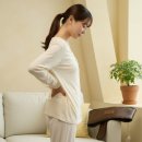 참사랑의료기 | 게르마늄 원적외선 전기 온열 찜질팩 복대 벨트 허리 복부 등 생리통