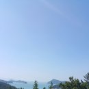 약산흑염소사랑 이미지