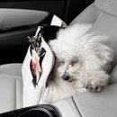 광주다온동물병원 이미지