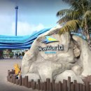 HONESTY CAMP | YMCA camp surf 후기