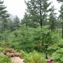 낙안민속자연휴양림 이미지