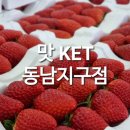 청주 동남지구 맛켓(맛KET) 진짜 싸네 가격비교 내돈내산