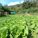 서산기쁨농장 이미지